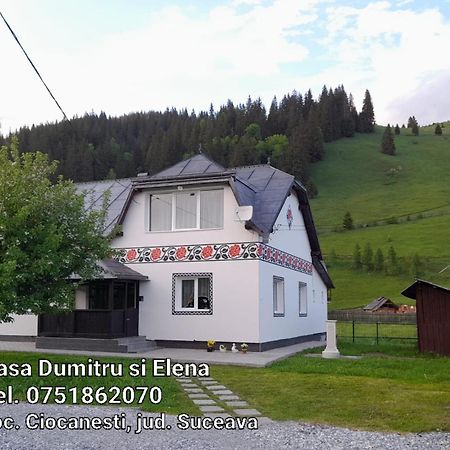 Casa Dumitru Si Elena Ciocanesti Bucovina Zimmer foto